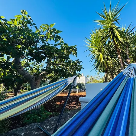 فيلة Bianca Terra