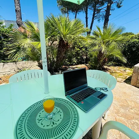 فيلة Bianca Terra *