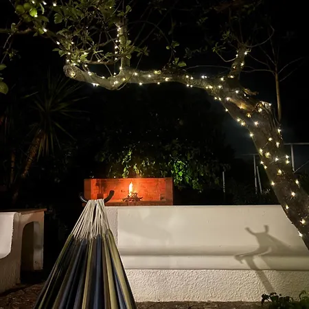 Bianca Terra فيلة